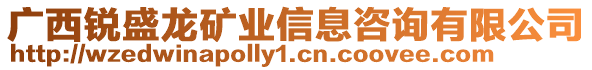 廣西銳盛龍礦業(yè)信息咨詢有限公司