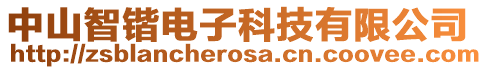 中山智鍇電子科技有限公司