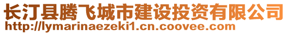 長汀縣騰飛城市建設(shè)投資有限公司