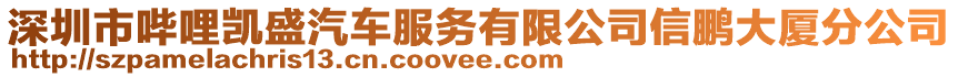 深圳市嗶哩凱盛汽車服務(wù)有限公司信鵬大廈分公司