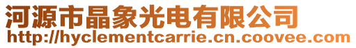 河源市晶象光電有限公司