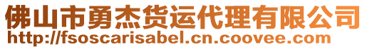 佛山市勇杰貨運(yùn)代理有限公司