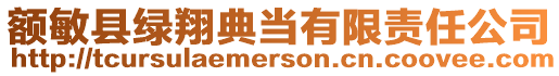 額敏縣綠翔典當(dāng)有限責(zé)任公司