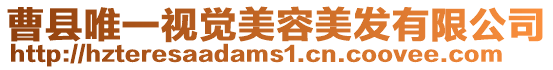 曹縣唯一視覺美容美發有限公司