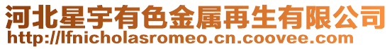 河北星宇有色金屬再生有限公司