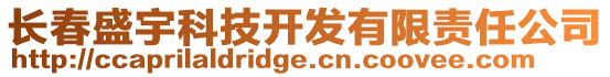 長春盛宇科技開發有限責任公司