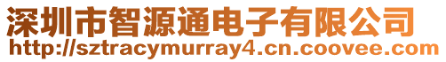 深圳市智源通電子有限公司