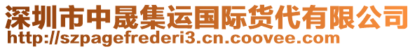 深圳市中晟集運國際貨代有限公司