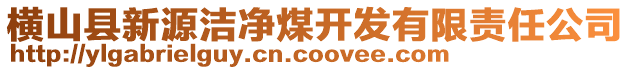 橫山縣新源潔凈煤開發(fā)有限責(zé)任公司