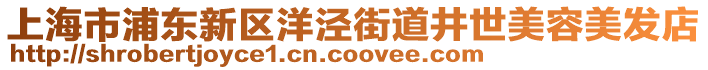 上海市浦東新區(qū)洋涇街道井世美容美發(fā)店