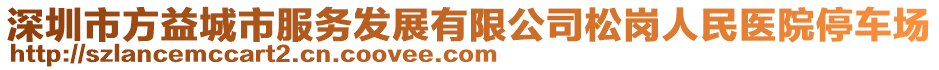 深圳市方益城市服務(wù)發(fā)展有限公司松崗人民醫(yī)院停車場(chǎng)