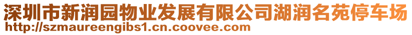 深圳市新潤(rùn)園物業(yè)發(fā)展有限公司湖潤(rùn)名苑停車(chē)場(chǎng)