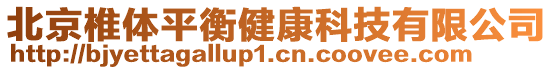 北京椎體平衡健康科技有限公司