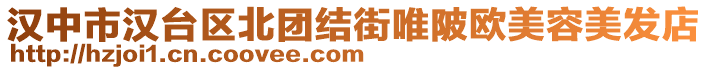 漢中市漢臺區(qū)北團結(jié)街唯陂歐美容美發(fā)店