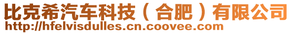 比克希汽車科技（合肥）有限公司