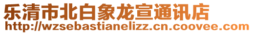 樂清市北白象龍宣通訊店