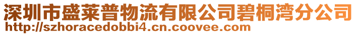 深圳市盛萊普物流有限公司碧桐灣分公司