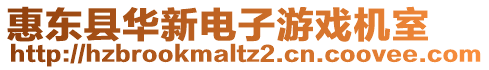 惠東縣華新電子游戲機室