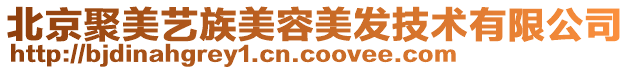 北京聚美藝族美容美發(fā)技術(shù)有限公司