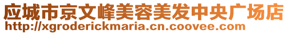 應(yīng)城市京文峰美容美發(fā)中央廣場(chǎng)店