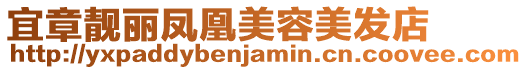 宜章靚麗鳳凰美容美發店