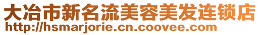 大冶市新名流美容美發連鎖店
