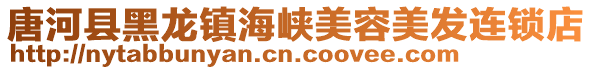 唐河縣黑龍鎮海峽美容美發連鎖店