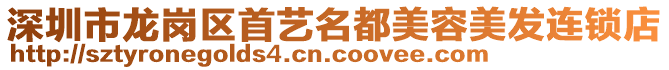 深圳市龍崗區(qū)首藝名都美容美發(fā)連鎖店