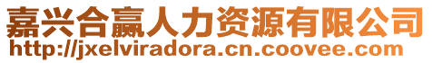 嘉興合贏人力資源有限公司