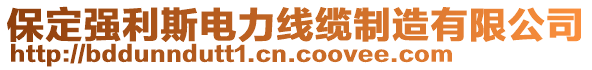 保定強(qiáng)利斯電力線纜制造有限公司