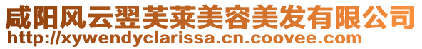 咸陽(yáng)風(fēng)云翌芙萊美容美發(fā)有限公司