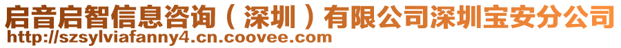 啟音啟智信息咨詢（深圳）有限公司深圳寶安分公司