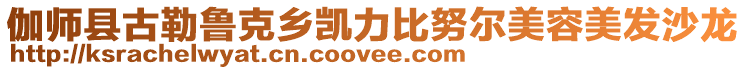 伽師縣古勒魯克鄉(xiāng)凱力比努爾美容美發(fā)沙龍