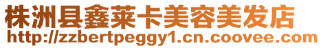 株洲縣鑫萊卡美容美發店