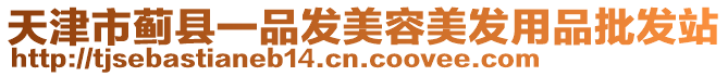 天津市薊縣一品發(fā)美容美發(fā)用品批發(fā)站