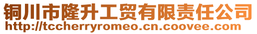 銅川市隆升工貿(mào)有限責(zé)任公司