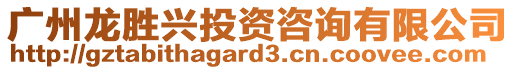 廣州龍勝興投資咨詢有限公司