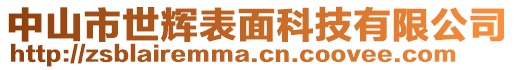 中山市世輝表面科技有限公司