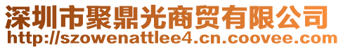 深圳市聚鼎光商貿(mào)有限公司