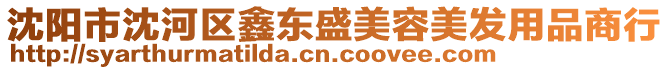 沈陽市沈河區鑫東盛美容美發用品商行