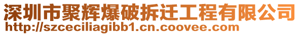 深圳市聚輝爆破拆遷工程有限公司