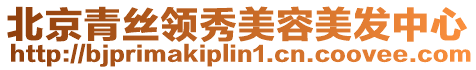 北京青絲領(lǐng)秀美容美發(fā)中心