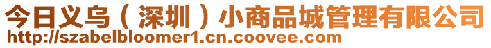 今日義烏（深圳）小商品城管理有限公司