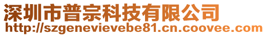 深圳市普宗科技有限公司