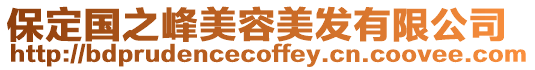 保定國之峰美容美發有限公司
