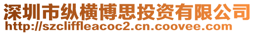 深圳市縱橫博思投資有限公司