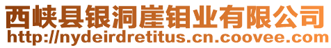 西峽縣銀洞崖鉬業有限公司