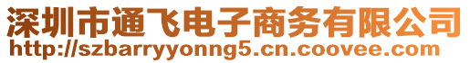 深圳市通飛電子商務(wù)有限公司