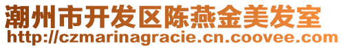 潮州市開發(fā)區(qū)陳燕金美發(fā)室