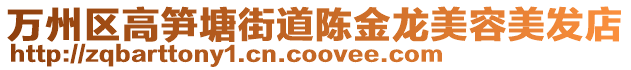 萬州區(qū)高筍塘街道陳金龍美容美發(fā)店